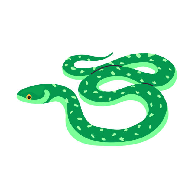 Green snake icon clipart avatar logotype isolated illustration