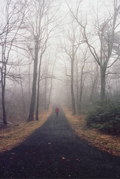 Woman walking in a trail surrounded by trees  in winter time in New York State. Shoot in film.
