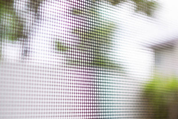 istock mosquito net wire screen on house window protection against insect 2198785469