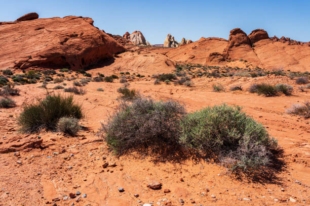 istock Valley of Fire State Park Nevada 2198789058