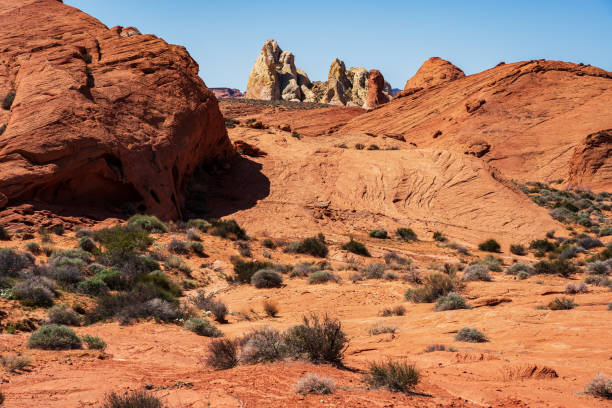istock Valley of Fire State Park Nevada 2198789117
