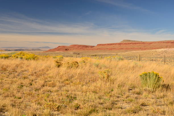 A stunning semi-arid landscape featuring a red rock plateau stretching across the horizon, with golden grasses and sagebrush in the foreground. The expansive sky adds depth to the rugged terrain, highlighting the beauty of the American West. A rustic fence runs through the scene, emphasizing the remoteness of the location. Ideal for themes related to wilderness, open spaces, and natural beauty.