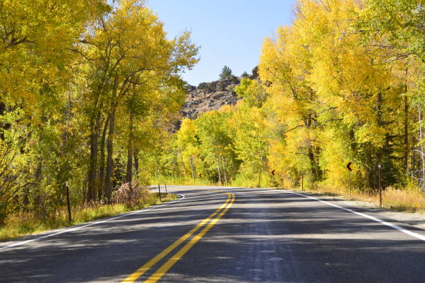 istock Winding Road Surrounded by Vibrant Autumn Foliage 2198789801