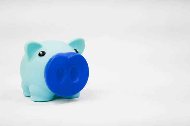 istock Piggy Bank on the left, with white background. 2198794757