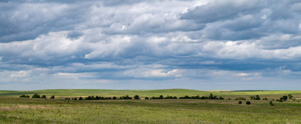 istock Tallgrass Prairie Preserve, OK 2198796173