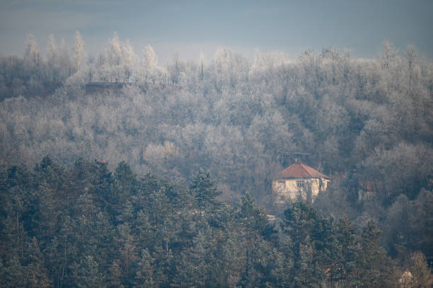 A tranquil winter scene featuring a frosty forest on a hillside with a lone house standing out amidst the trees. The muted tones and frost-covered landscape evoke a peaceful and serene atmosphere.