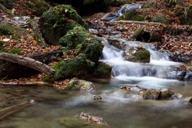 istock beautiful waterfall in the forest 2198798590