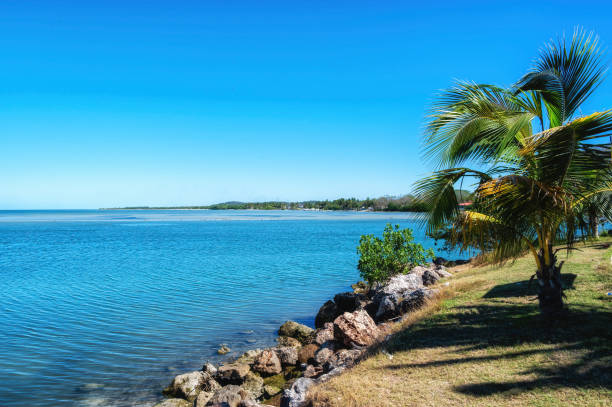 istock Scenic view from Champoton, Yucatan, Mexico 2198798700