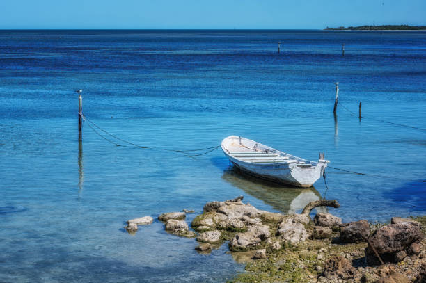 istock Scenic view from Champoton, Yucatan, Mexico 2198798718
