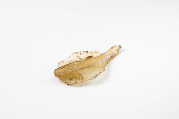 istock Seared sardine tempura is a Japanese alcohol appetizer 2198806890