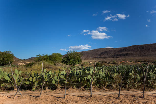 istock BA-148 road at Rio de Contas 2198807866