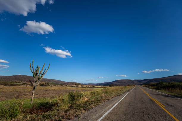 Bahia state (Brazil)