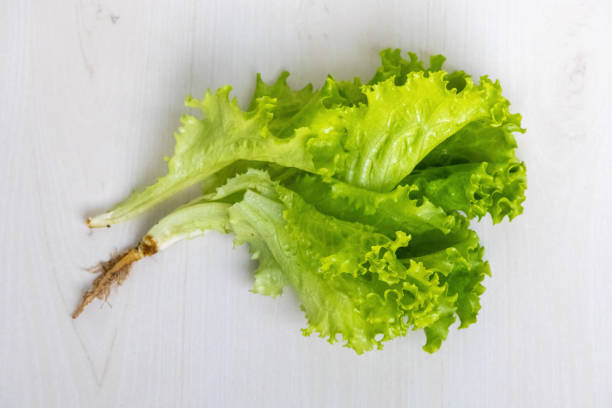 Fresh green lettuce (Lactuca sativa) leaves on a light wooden background. Healthy, nutritious vegetable. Top view.