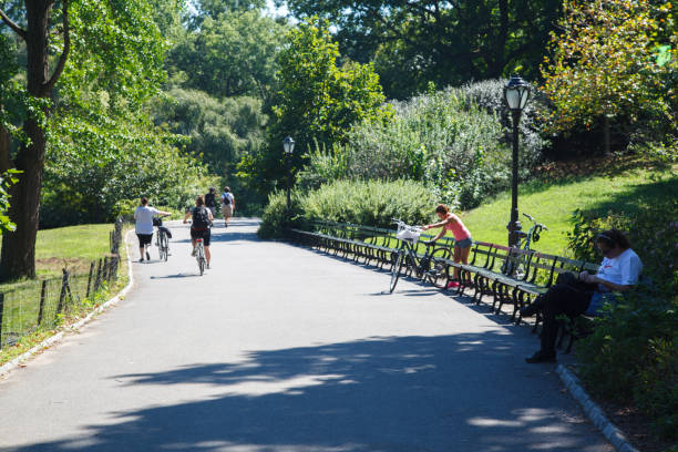 A person rides a bicycle in a park surrounded by greenery and city buildings, enjoying a sunny day. The setting captures the balance between urban life and outdoor leisure.