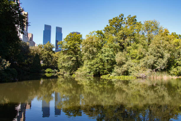 Pond lake in Central Park and Time Warner center skyscraper towers, Midtown Manhattan, New York City The Pond lake in Central Park and Time Warner center skyscraper towers, Midtown Manhattan, New York City time warner center columbus circle pictures stock pictures, royalty-free photos & images
