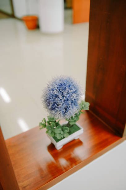 Christmas decoration on fir Christmas tree indoor