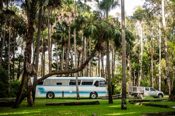 a large motorhome parked amongst the palm trees