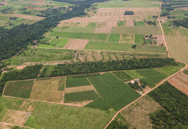 istock Rural settlement (familiar farms) in Sorriso, Mato Grosso state (Brazil) 2198815103
