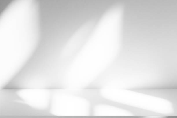 istock Wall interior background, studio and backdrops show products.with shadow from window color white . background for text insertion and presentation product 2198815621