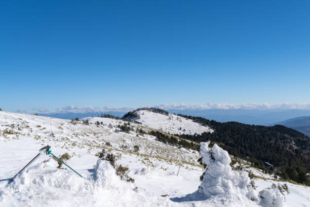 Snowy scenery of Fujimidai Plateau