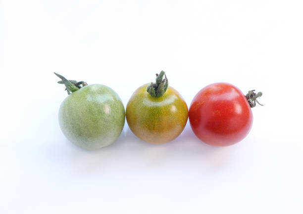 Fresh red, green and orange cherry tomatoes on a white background.