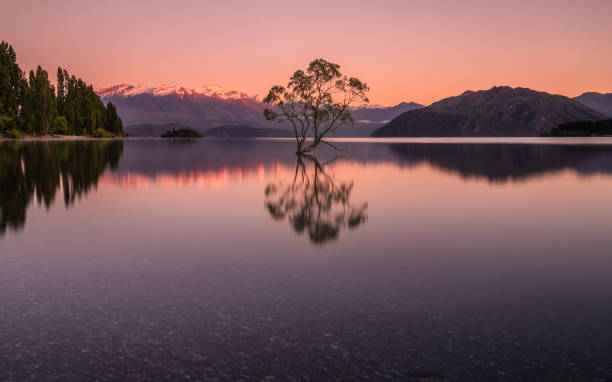 istock Lonely Tree over the Lake Wanaka 2198824353