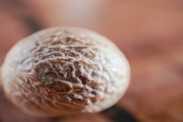 macro shot of a whole nutmeg with out of focus background and copy space