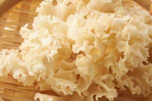 istock image of wood cauliflower fungus 2198827298