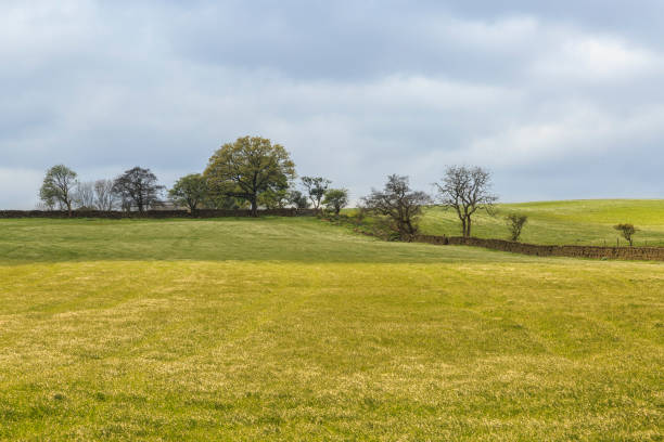 istock England, West Yorkshire. Landscape, hills, valleys, fields, pastures, grazing lands. 2198828876