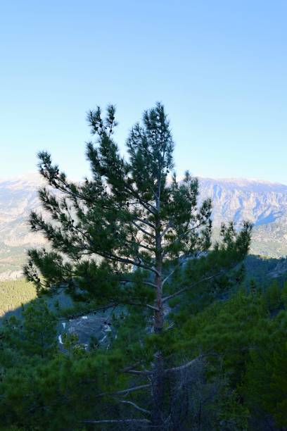 istock Mountainous rocky landscape 2198830535