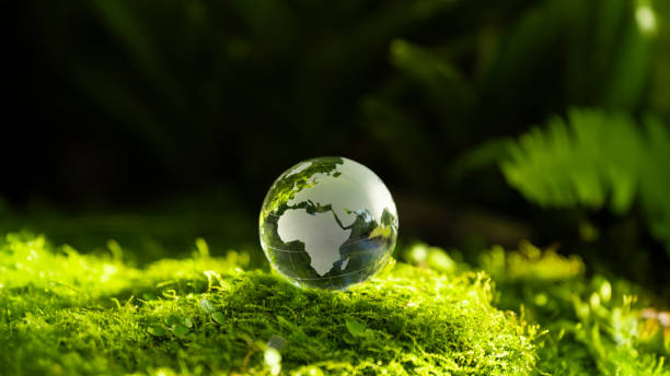 istock Crystal Earth On Soil In Forest With Ferns And Sunlight - Environment, save clean planet, ecology concept. Earth Day banner. ESG, Environment Social and Governance, World sustainable environment. CSR. 2198831893