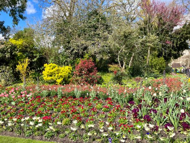 istock Flowers in St. James Park 2198833581