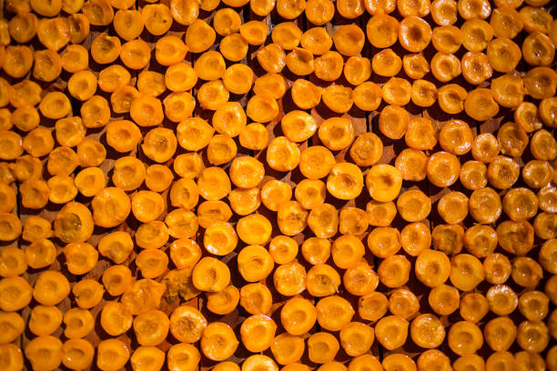 An aerial view of rows of sliced peaches drying in the sun, creating a vibrant orange pattern with neat, repetitive rows, ideal for dried fruit production.
