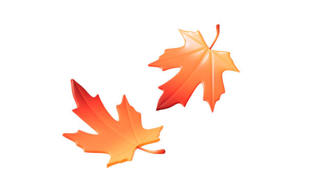 istock Cartoon maple leaves model, autumn maple leaves, 3d rendering. 2198840634