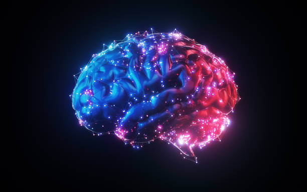 Blue Red Illuminated Metallic Wireframe Glowing Human Brain on Black Background