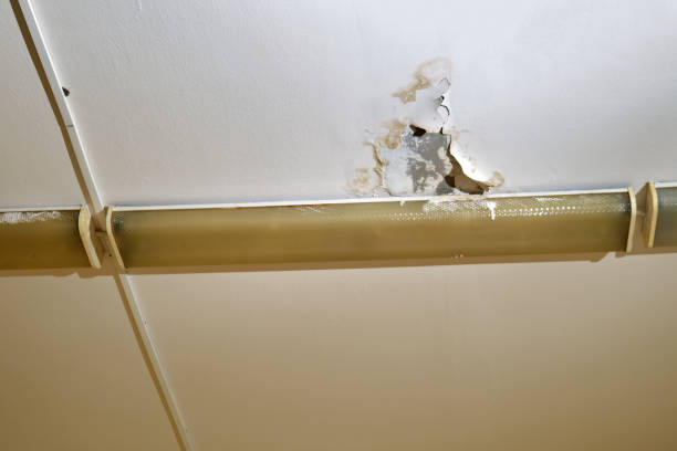 istock Damaged ceiling with water stains and peeling paint near fluorescent light fixture. Structural deterioration and leakage issue in interior space. 2198847713