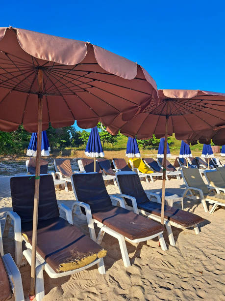 istock Empty tropical beach with sunbeds and umbrellas 2198849029