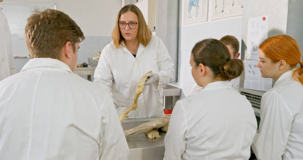 istock Enthusiastic Caucasian Professor Teaching Animal Skeleton Class 2198849354