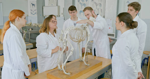 istock Mature Female Professor Teaching Animal Skeleton Class 2198849374