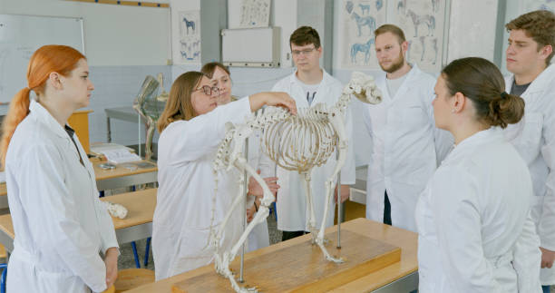 istock Mature Female Professor Leading Animal Skeleton Lecture 2198849375