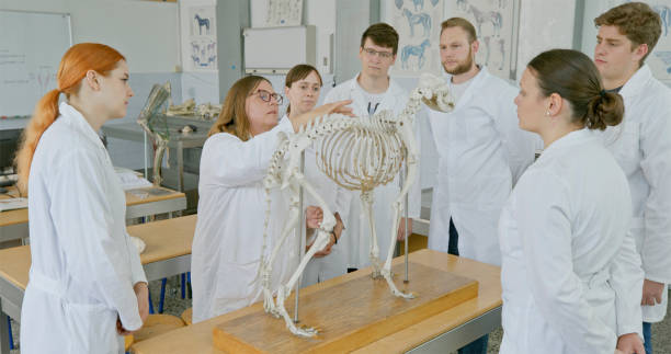 istock Mature Female Professor Lecturing on Animal Skeleton 2198849377