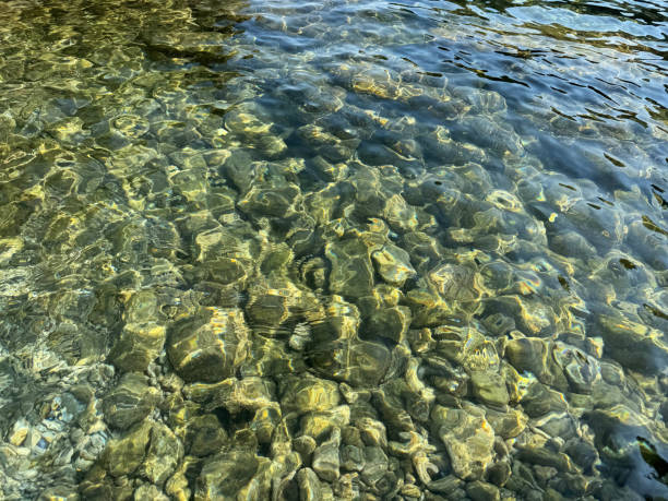 istock Stones and pebbles at the bottom of sea 2198849558
