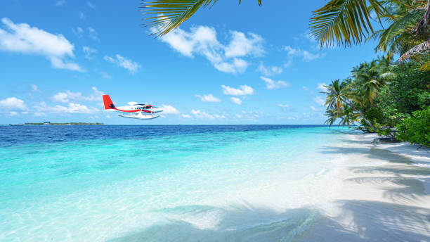 istock Coconut palm trees and beautiful turquoise sea on tropical paradise beach 2198849929