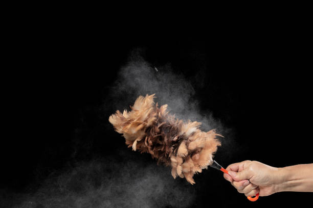 A brush with a wooden material handle.Paint Brush