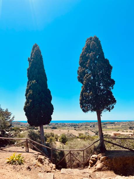 istock Two trees in a barren landscape 2198853265