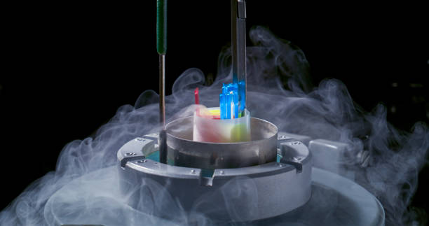 istock Advanced Cryogenic Equipment in Veterinary University Clinic 2198858830