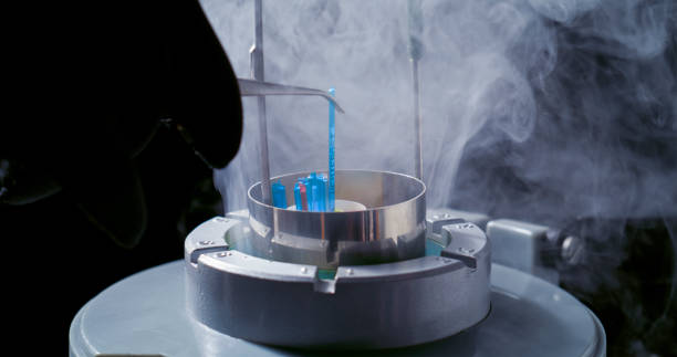 istock Veterinary Clinic Handling Temperature-Sensitive Materials 2198858840
