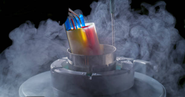 istock Advanced Cryogenic Equipment in Veterinary Clinic 2198858844