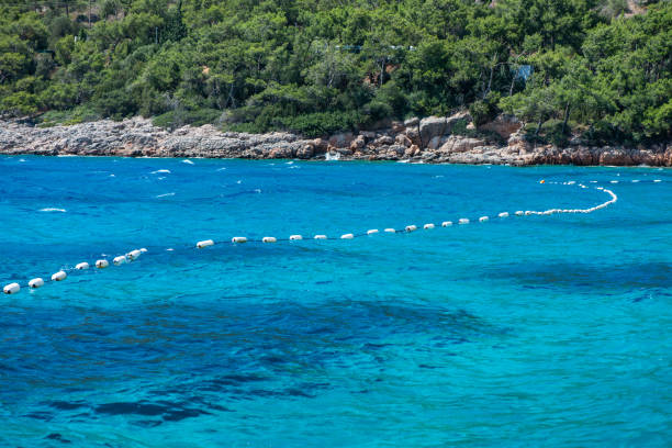 Drone view of Cala Mesquida in Majorca, Spain, capturing the golden sandy beach, turquoise water, and surrounding dunes. A serene Mediterranean landscape perfect for summer relaxation and travel inspiration
