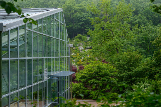 a glass greenhouse in the forest.